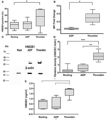 Lipopolysaccharide-Activated Canine Platelets Upregulate High Mobility Group Box-1 via Toll-Like Receptor 4